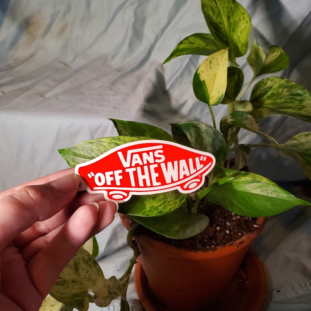 Vans and Toms Stickers